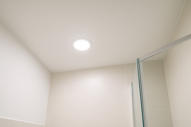 What Type of Paint for Bathroom Ceilings Prevents Mold Growth